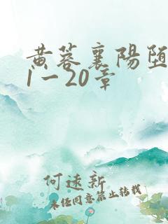 黄蓉襄阳堕落史1一20章