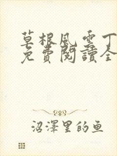 草根风云丁长生免费阅读全本