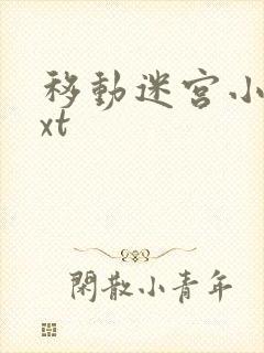 移动迷宫小说txt