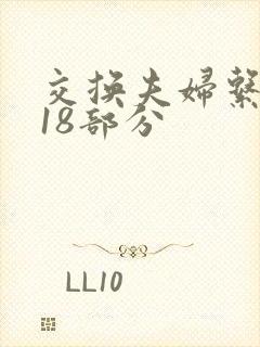 交换夫妇系列第18部分