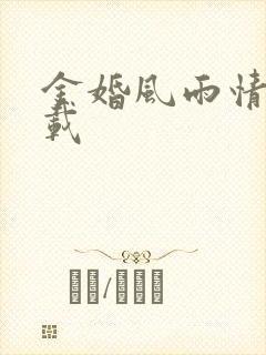 金婚风雨情 下载