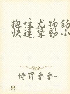 抱住尤物的翘臀快速耸动小说