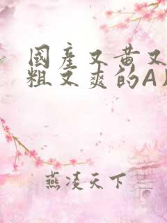国产又黄又猛又粗又爽的A片小说