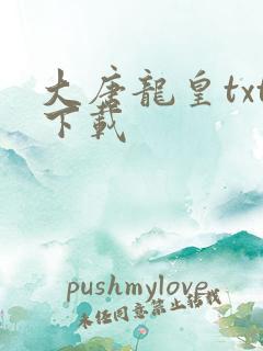 大唐龙皇txt下载