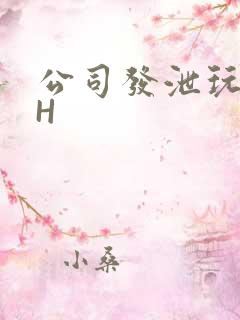 公司发泄玩具lH