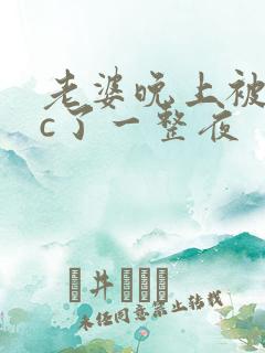 老婆晚上被躁狂c了一整夜