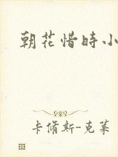 朝花惜时小说