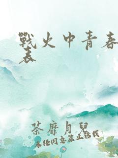 战火中青春演员表