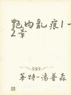 艳肉乱痕1一12章