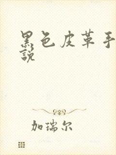 黑色皮革手册小说