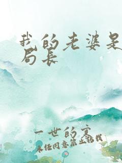 我的老婆是警察局长