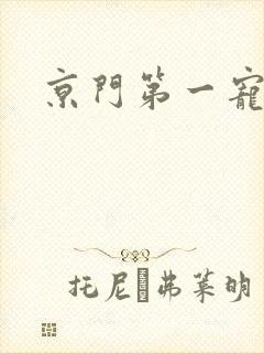 京门第一宠