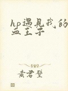 hp遇见我的混血王子