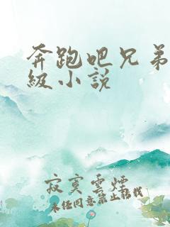 奔跑吧兄弟限制级小说