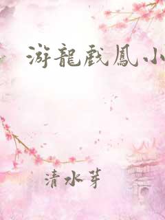 游龙戏凤小说