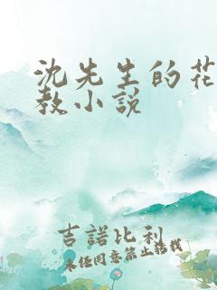 沈先生的花式调教小说