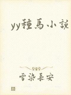 yy种马小说