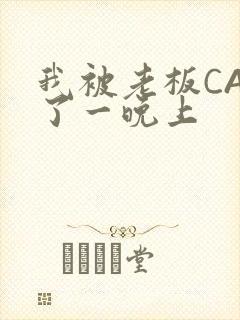 我被老板CAO了一晚上