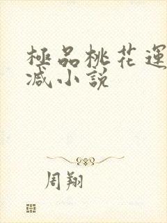 极品桃花运未删减小说