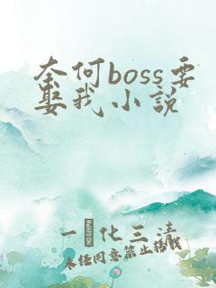 奈何boss要娶我小说