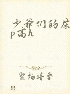 少爷们的床奴np高h