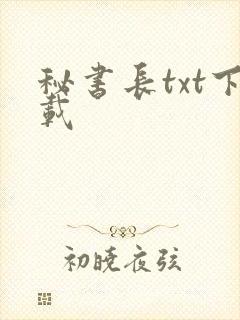 秘书长txt下载