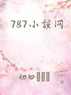 787小说网