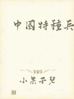 中国特种兵小说