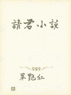 请君小说