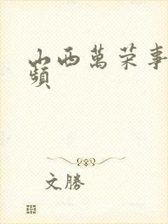 山西万荣事件视频