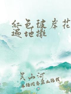 红色彼岸花花瓣遍地撒