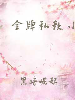 金牌私教 小说