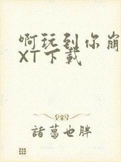 啊玩到你崩溃TXT下载