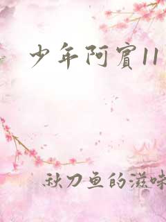 少年阿宾11