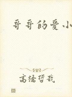 哥哥的爱小说