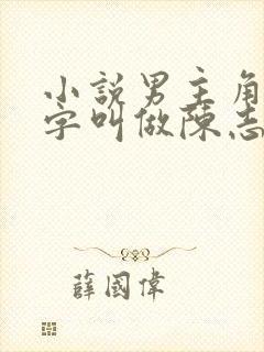 小说男主角的名字叫做陈志远