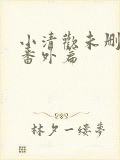 小清欢未删减版番外篇