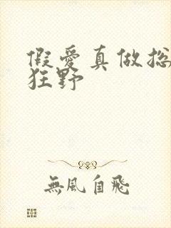 假爱真做总裁太狂野