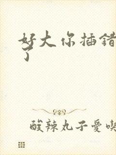 好大你插错地方了