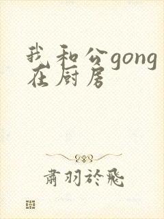 我和公gong在厨房