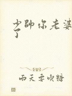 少帅你老婆又跑了