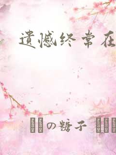 遗憾终常在小说