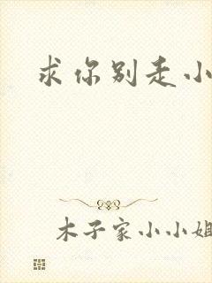 求你别走小说