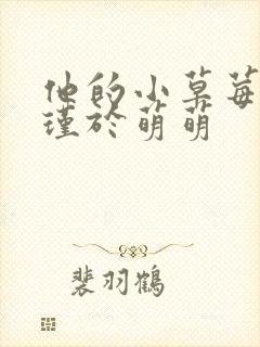 他的小草莓沈修瑾于萌萌