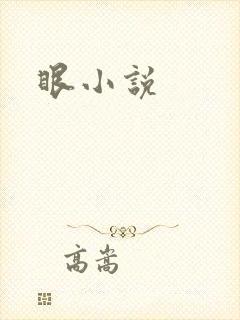 眼小说