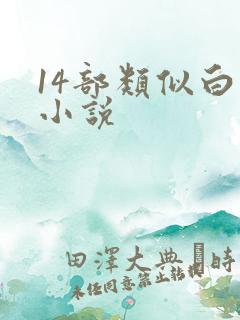 14部类似白洁小说