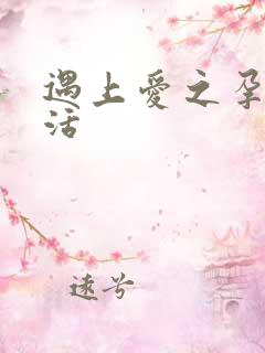 遇上爱之孕夫生活