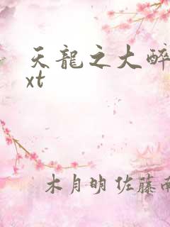 天龙之大醉侠txt