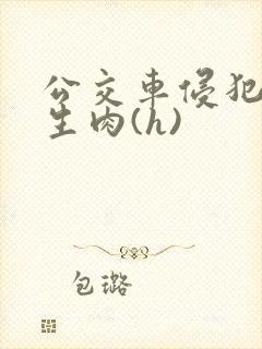 公交车侵犯小男生肉(h)