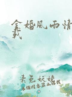 金婚风雨情 下载